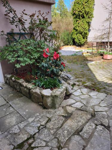 a garden with red roses in a stone planter at Villa Vino & Grad in Zagreb