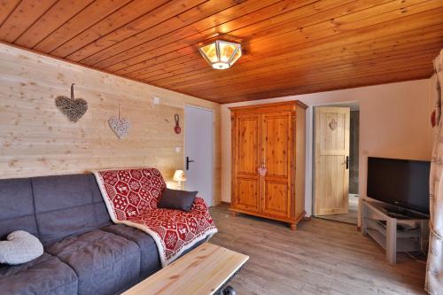Μια τηλεόραση ή/και κέντρο ψυχαγωγίας στο Chalet au bois des écureuils classé trois étoiles.