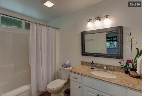 ein Badezimmer mit einem WC, einem Waschbecken und einem Spiegel in der Unterkunft Volcano One - Modern Studio with Lanai near Volcano National Park in Volcano