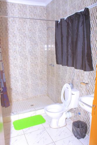 a bathroom with a shower and a toilet and a sink at Luma Guest House in Kasane