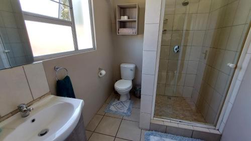 a bathroom with a shower and a toilet and a sink at Poolside Guest House in Port Shepstone