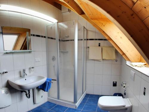 ein Bad mit einer Dusche, einem Waschbecken und einem WC in der Unterkunft Gästehaus Ritter in Sinsheim