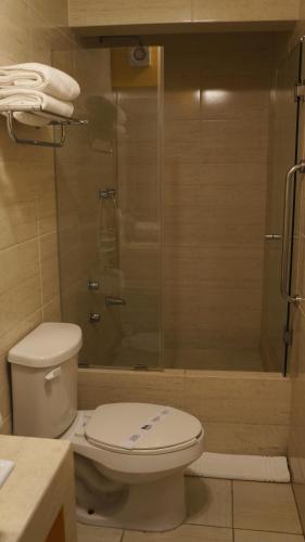 y baño con aseo y ducha. en Hotel Casa Blanca en Fresnillo de González Echeverría