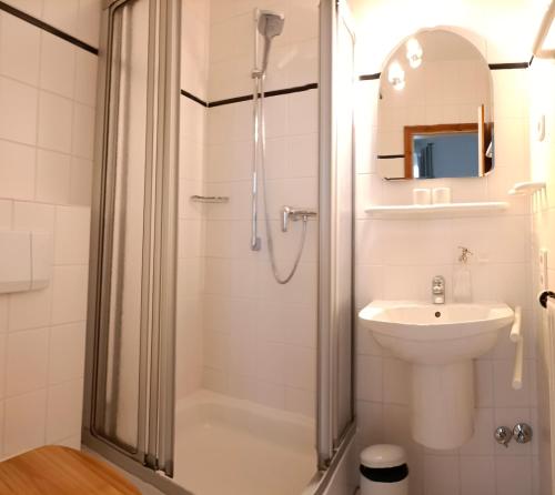 La salle de bains est pourvue d'une douche et d'un lavabo. dans l'établissement Historischer Winzerverein Boutique B&B, à Senheim