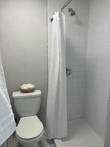 a bathroom with a toilet and a shower with a shower curtain at Arizona 9 Motor Hotel in Williams