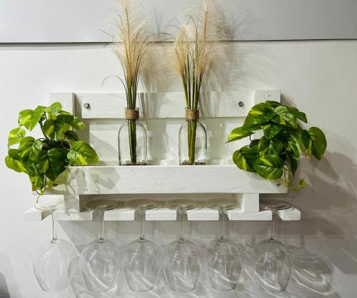 a shelf with wine glasses and potted plants on it at Santhry House in Turin