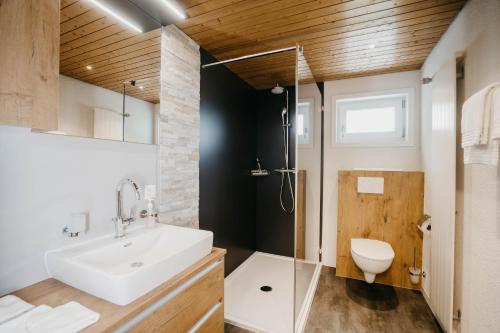 ein Bad mit einem Waschbecken und einem WC in der Unterkunft Apartment Bergdohle in Amden