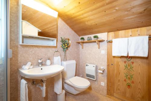 a bathroom with a toilet and a sink at Chalet Sönderli in Amden