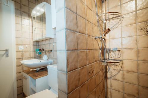 W łazience znajduje się prysznic i umywalka. w obiekcie Apartment Alpenglühen w mieście Amden