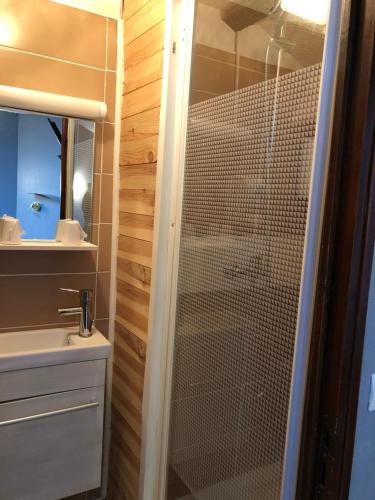 eine Dusche mit Glastür im Bad in der Unterkunft Hostellerie Au rendez-vous des amis in Chamarandes