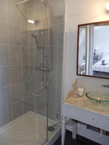 une salle de bain avec une douche avec un lavabo et un miroir dans l'établissement Au Presbytère de Dagmar, à Erbrée