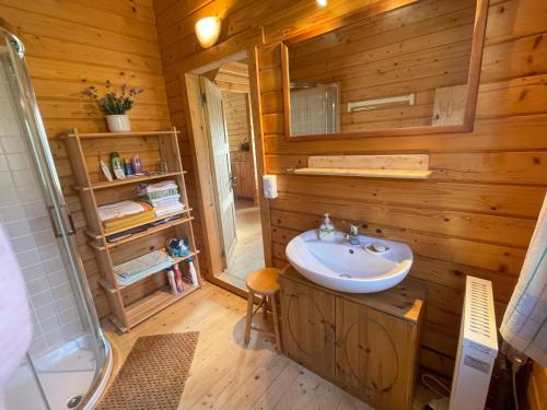a bathroom with a sink and a shower in a log cabin at Garten Eden in Frohburg