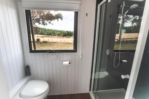 een badkamer met een douche, een toilet en een raam bij Pine Edge Heights in Ellendale