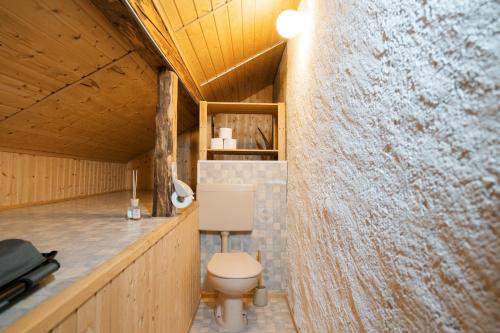 a bathroom with a toilet in a wooden house at Cottage Obereichholzberg in Weesen