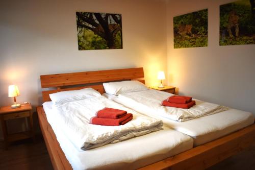 una camera con due letti con cuscini rossi di FVH Family Vacation Heidelberg a Heidelberg