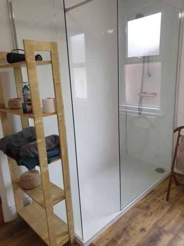 a glass shower with a ladder next to a shelf at Willow House Excellent accomodation Central Exeter-Uni-Chiefs-RD&E-Courtyard Garden-Parking-Sleeps up to 6 in Exeter