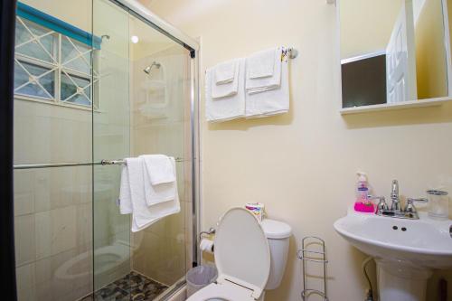 uma casa de banho com um chuveiro, um WC e um lavatório. em Ocho Rios Drax Hall Country Club 2 Bed Villa Getaway em Mammee Bay