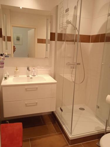 a bathroom with a shower and a sink at Hexenstube Jorjina - WLAN - Garten- tolles Bad - Garage mit Wallbox- Brockenblick-Wandern -Mountainbike - Motorradurlaub in Braunlage