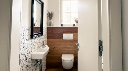 a bathroom with a toilet and a sink and a mirror at Apartment Vila Pavlovski in Bled