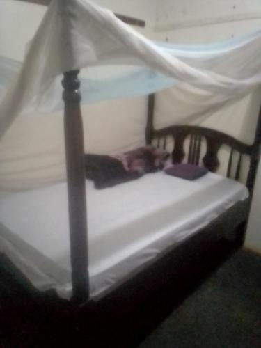 ein weißes Bett mit Baldachin in einem Zimmer in der Unterkunft Pilgrims home in Kampala