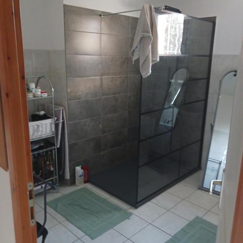 une douche avec une porte vitrée dans une salle de bain dans l'établissement Jjflo cadre champêtre, à Signes