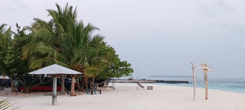 a sandy beach with palm trees and the ocean at Manta Sky Inn in Dharavandhoo