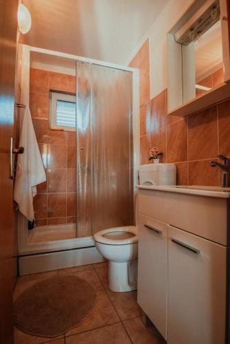 a bathroom with a toilet and a shower in it at Holiday home Jukan in Vrulje