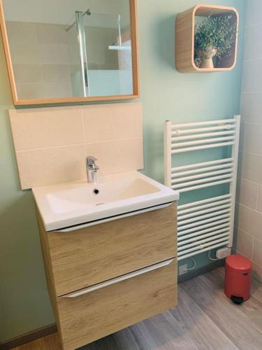 une salle de bain avec un lavabo et un miroir dans l'établissement Jolie maison typique, à Wattrelos