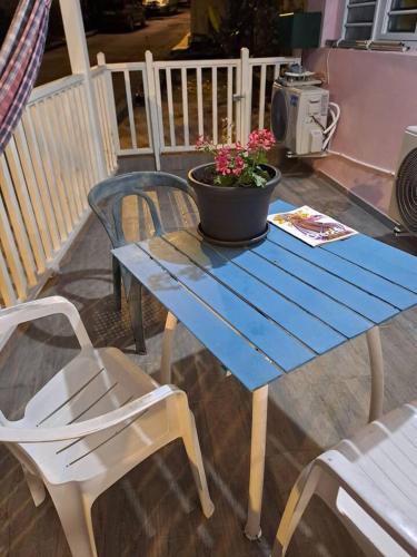 a blue table with a potted plant on a patio at Appartement d'une chambre avec wifi a Le Vauclin in Le Vauclin