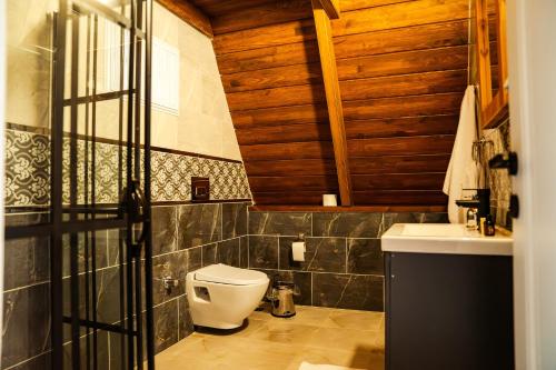 ein Bad mit einem WC und einem Waschbecken in der Unterkunft Alis Paradise Sapanca in Sapanca