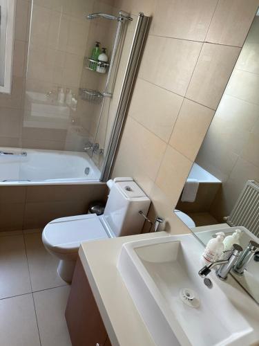 a bathroom with a sink and a toilet and a shower at Hill Luxury Family Maisonette 21 in Ayios Dhometios