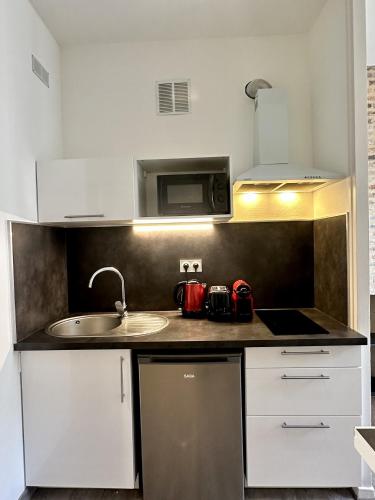 une cuisine avec un évier et un micro-ondes dans l'établissement Charmant studio hyper centre, à Angers
