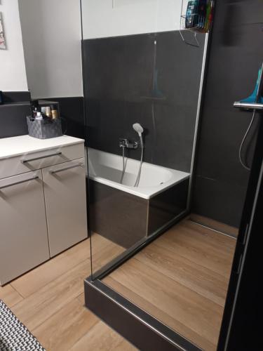 uma casa de banho com um chuveiro e um lavatório. em Ferienwohnung mit Whrpool em Koblenz