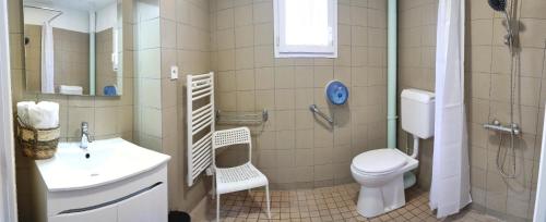 a bathroom with a sink and a toilet and a shower at Le Haut Berry in Les Aix-dʼAngillon