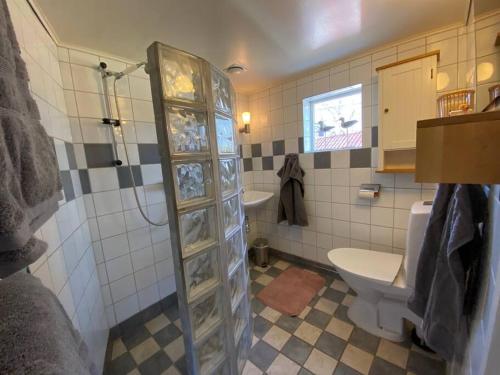 een badkamer met een douche, een toilet en een wastafel bij By Lake Rusken - 2 cottages - fantastic nature in Rörvik