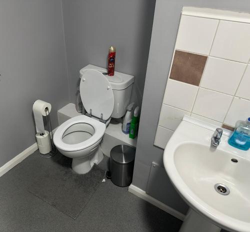 Wembley Serviced Apartment, 20mins from Central London في لندن: حمام مع مرحاض ومغسلة