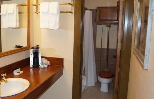 uma casa de banho com um lavatório e um WC em Stockyards Hotel em Fort Worth