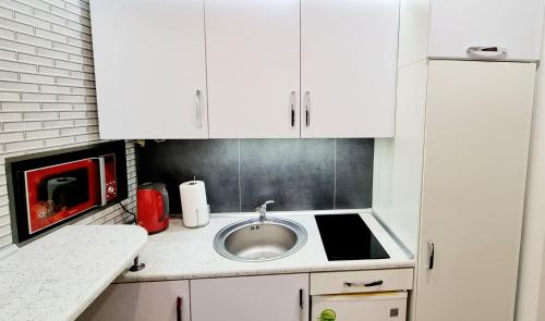 a small kitchen with a sink and white cabinets at Apartment Mitskevycha Square 5 in Lviv