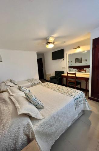 a bedroom with a bed and a desk in a room at HOTEL CASTELAR CORDOBA in Córdoba