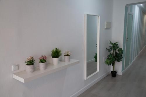 Apartamento en la MERCED photo 22