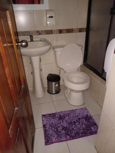 a small bathroom with a toilet and a sink at Hostal Chimborazo in Corona