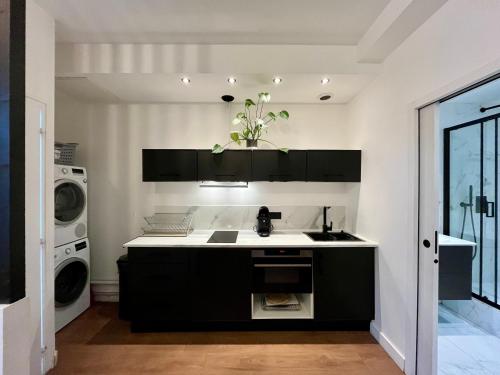 uma cozinha com um lavatório e uma máquina de lavar roupa em Appartement Le Médicis - 2 chambres em Rouen