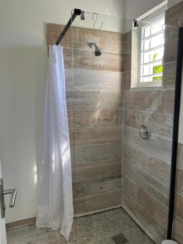 um chuveiro com uma porta de vidro na casa de banho em Villa OCEANE em Trois-Rivières