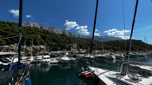 a bunch of boats are docked in a harbor at Yacht Vratislavia in Krvavica