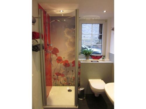 een badkamer met een douche en een toilet bij Majestic apartment in Olsberg in Olsberg