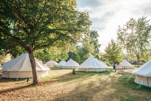 un grupo de tiendas de campaña en un campo con un árbol en Lodg'ing Nature Camp Anjou NEW 2024, en Sainte-Gemme-sur-Loire