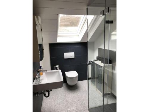 a bathroom with a toilet and a sink and a skylight at Holiday apartment Moselle Panorama in Enkirch