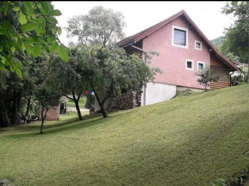 a pink house on top of a grassy hill at Apartment Letić in Šipovo