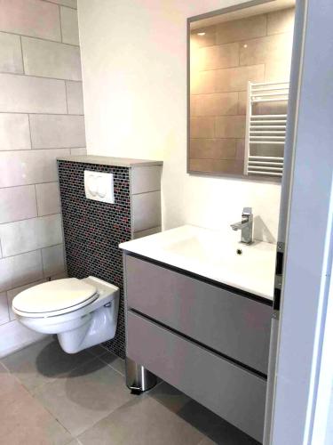 une salle de bain avec toilettes, lavabo et miroir dans l'établissement Maison charmante à Munwiller avec terrasse et parking gratuit., à Munwiller