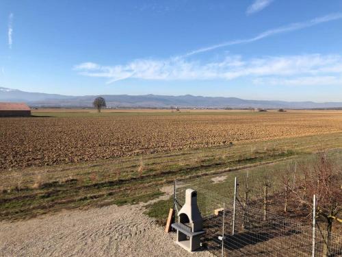 un campo con una valla en el medio en Maison de 2 chambres avec terrasse et wifi a Munwiller, en Munwiller